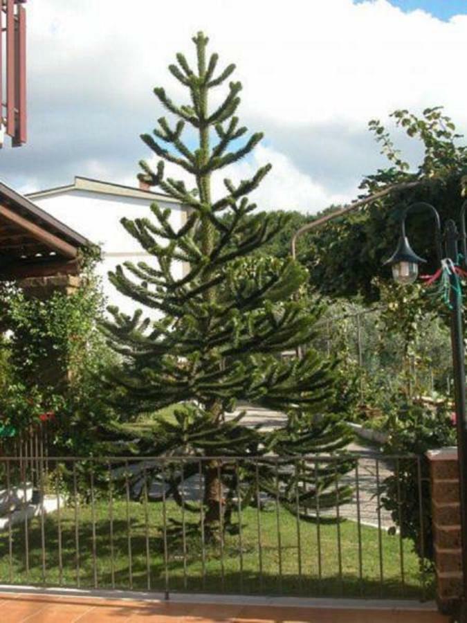 La Casa Sull'Aia,Av Bed & Breakfast Santo Stefano del Sole Exterior photo